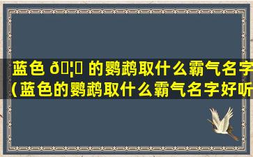 蓝色 🦁 的鹦鹉取什么霸气名字（蓝色的鹦鹉取什么霸气名字好听）